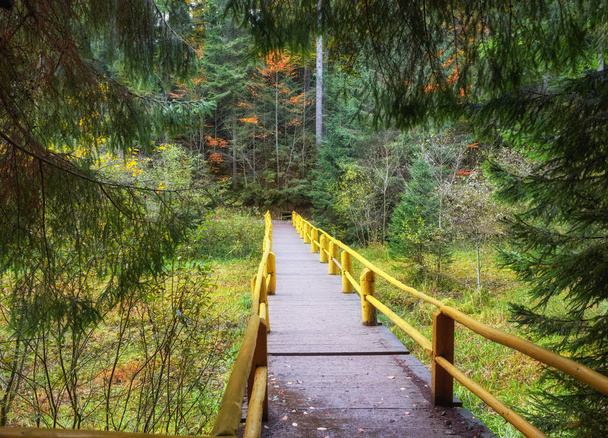 Осенний пейзаж - деревянный мост в осеннем парке - Фото, изображение