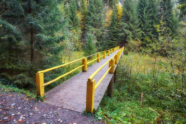 Herbstlandschaft - Holzbrücke im Herbstpark - Foto, Bild