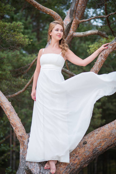 Retrato de la joven novia en vestido blanco en el árbol cerca de la playa
  - Foto, Imagen