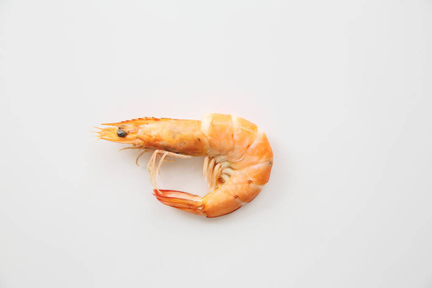 Shrimp isolated in white background - Photo, Image