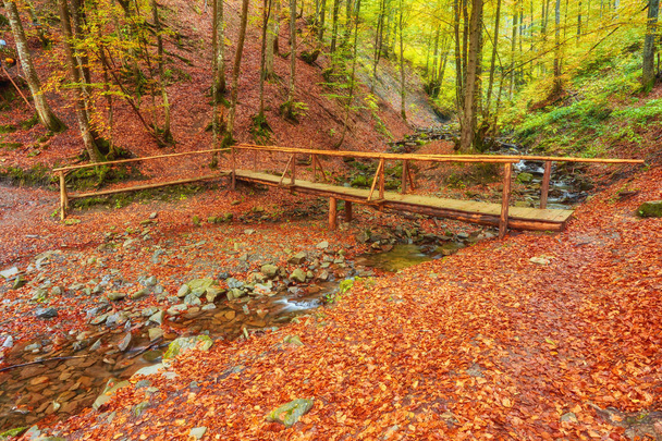 秋の風景-秋の公園の木製の橋 - 写真・画像