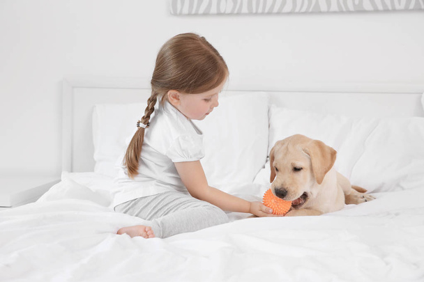 Cute child with Labrador Retriever on bed - Φωτογραφία, εικόνα