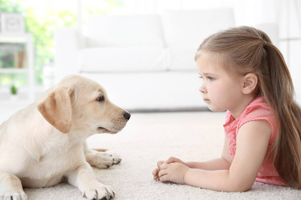 Cute child with Labrador Retriever at home - Foto, afbeelding