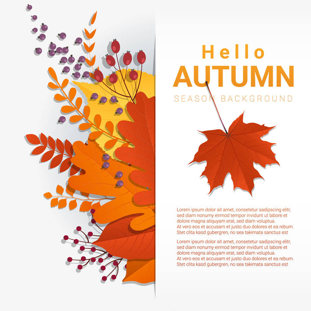 Witam jesień kolorowy liście i owoce tło, wektor, ilustracja - Wektor, obraz