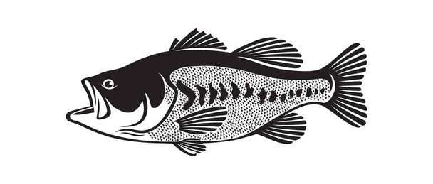 bass fish icon - Vector, Image
