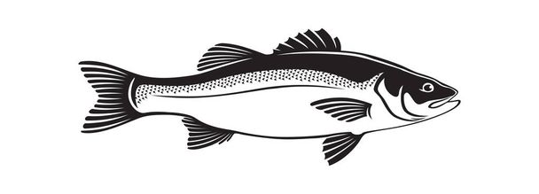 levrek balık resim - Vektör, Görsel