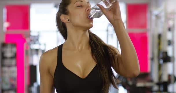 Smiling woman with fit body drinks water in fitness gym - Imágenes, Vídeo