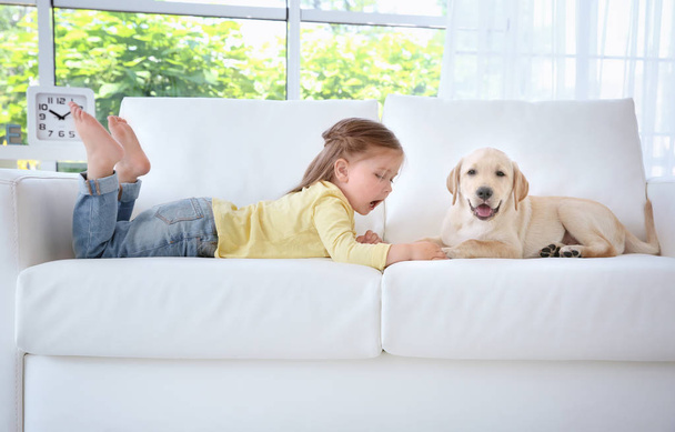 Cute child with Labrador Retriever on sofa - Foto, Imagen