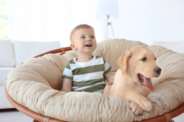 Cute child with Labrador - Φωτογραφία, εικόνα