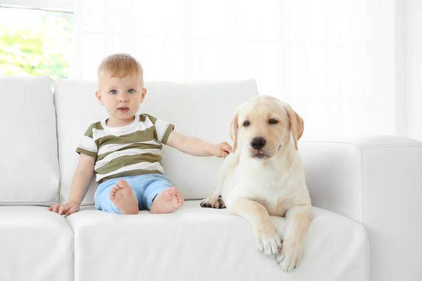 Cute child with Labrador - Фото, зображення