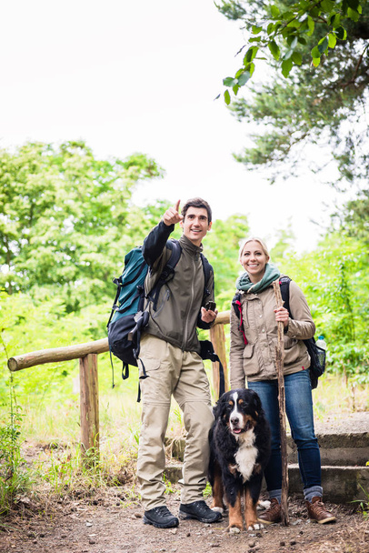Wandelaars met hond in het bos - Foto, afbeelding