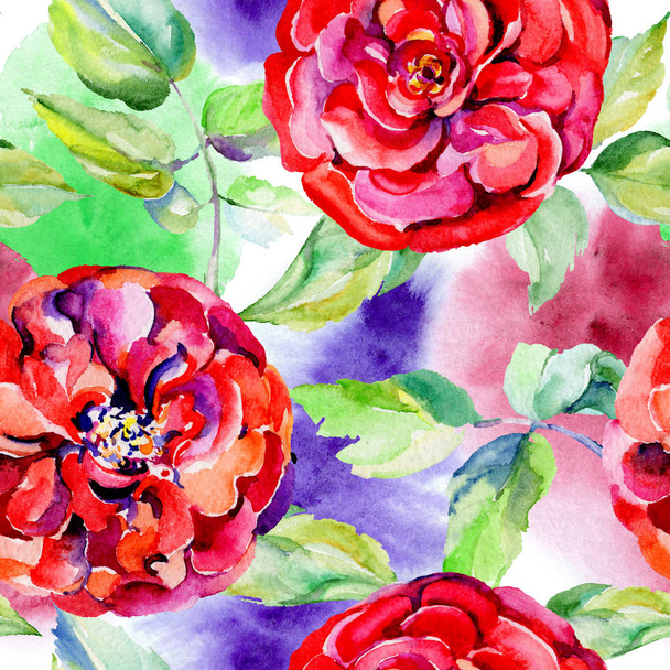 Motif fleur rose sauvage dans un style aquarelle
. - Photo, image