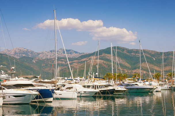 Blick auf den Yachthafen von Porto Montenegro. Bucht von Kotor, Montenegro - Foto, Bild