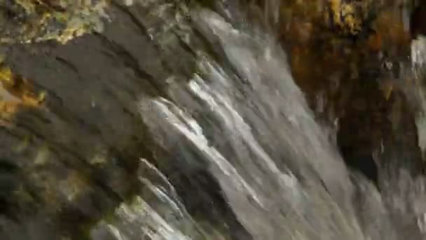 Close-up van kleine watervallen en groene planten in de natuur - Video