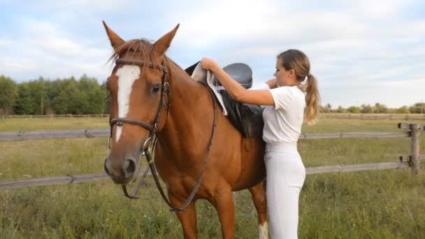 若い女性騎手が馬にサドルをドレスします。 - 映像、動画
