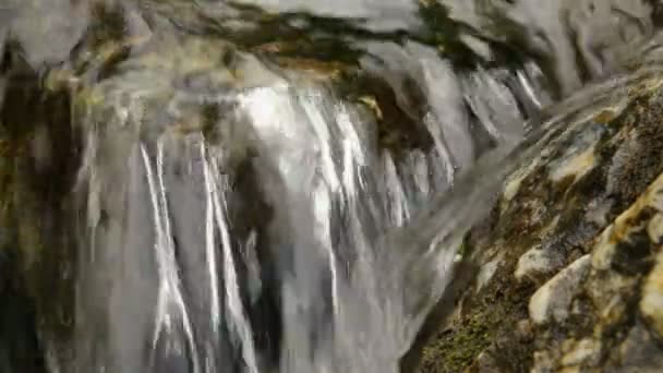 自然の中で小さな滝や緑の植物の閉鎖 - 映像、動画