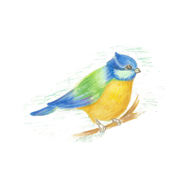 Vector color image of a bird, bird design icon - Vector, Image