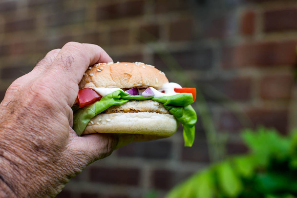 Chicken Burger or Sandwich With Salad - 写真・画像