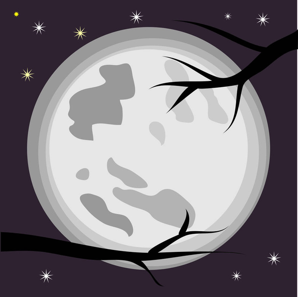 Paisaje: ramas de árbol negro en la noche contra una luna llena y estrellas
. - Vector, Imagen