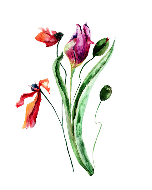 Original floral background with Poppy and Tulip flowers - Fotografie, Obrázek