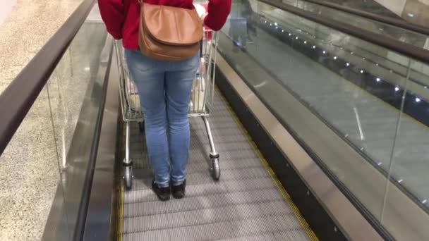 Woman and a shopping cart  - Footage, Video
