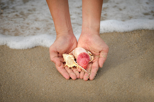 Many shells on woman's hands. - Photo, image