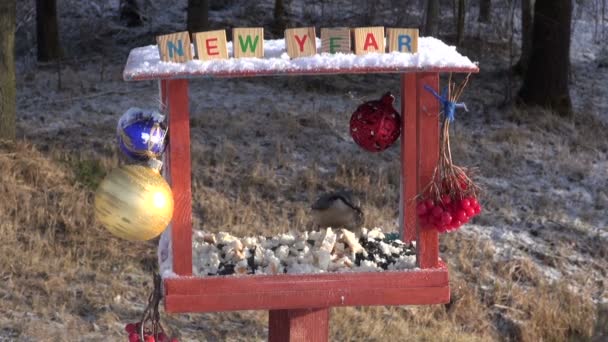 Año Nuevo decorado alimentador de aves y aves hambrientas
 - Metraje, vídeo