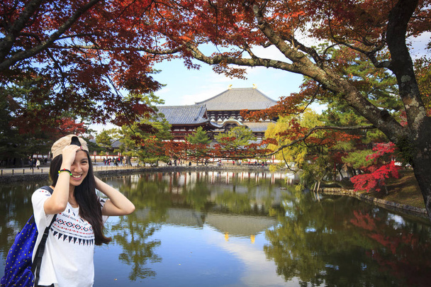 奈良公園の美しいメープル色と秋のシーズン - 写真・画像