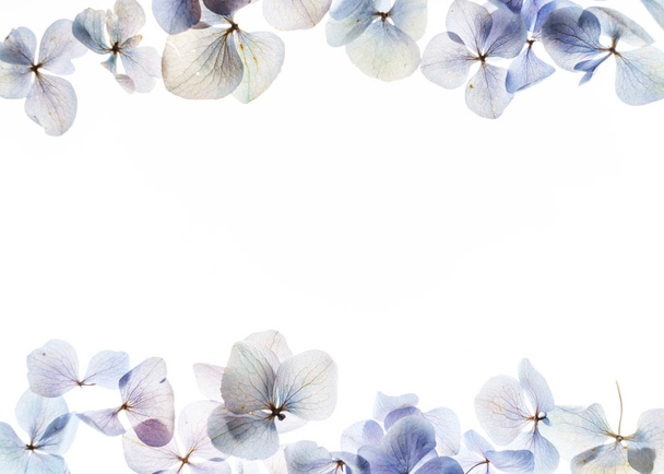 beautiful floral composition - Foto, imagen