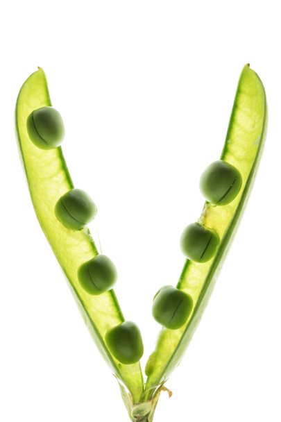 healthy split pea pod - Foto, imagen