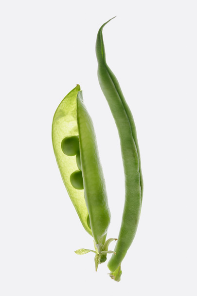 健康的な美しいエンドウ豆の鞘 - 写真・画像