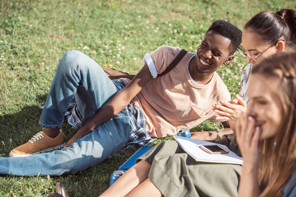 multiethnic students studying on grass - Фото, зображення
