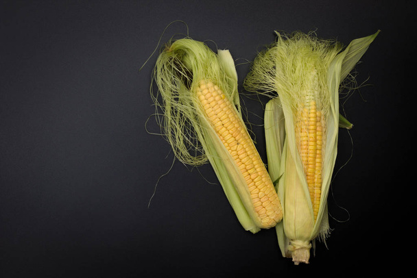 Gerçek hasat organik mısır kabuğu siyah arka plan üzerine içinde - Fotoğraf, Görsel