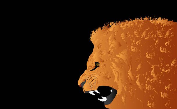 Illustration vectorielle tête de lion sur fond noir
 - Vecteur, image