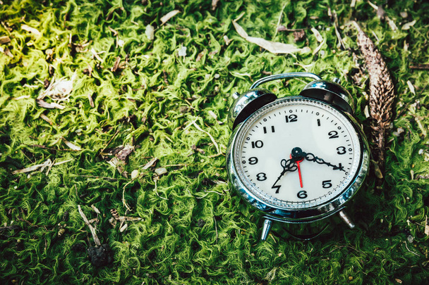 Alarm clock lay on the ground with moss  - Photo, Image