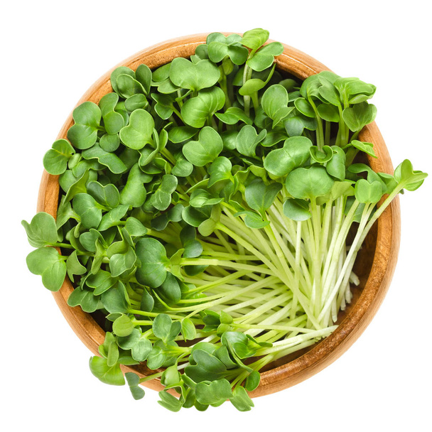 Daikon radish sprouts in wooden bowl over white - Photo, Image