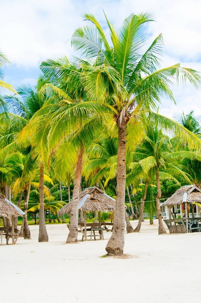 Landscape of paradise tropical island with palms cottages and white sand beach - Valokuva, kuva