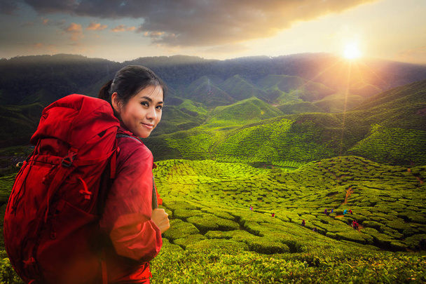 Asiatique dame sac à dos et Voyage la plante de thé vert à Cameron salut
 - Photo, image