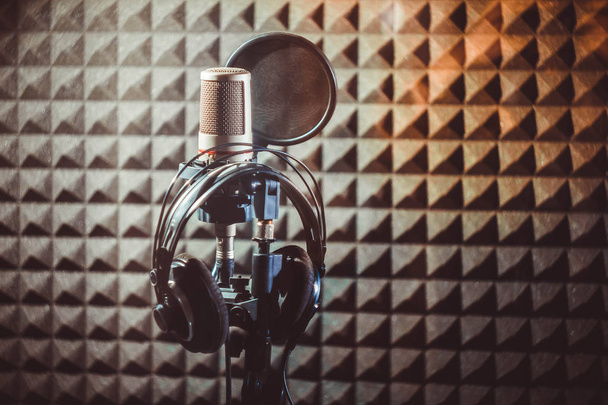 Studio μικρόφωνο στο περίπτερο - Φωτογραφία, εικόνα