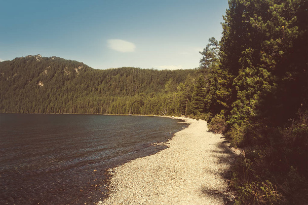 Тьмяний краєвид на березі озера
 - Фото, зображення