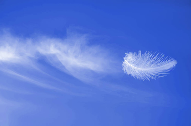 Szárnyaló repülés fehér pihés toll kék a napfényes ég:  - Fotó, kép
