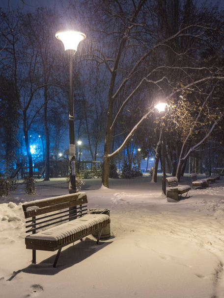 Paysage nocturne d'hiver banc sous les arbres et lampadaires qui tombent flocons de neige
. - Photo, image