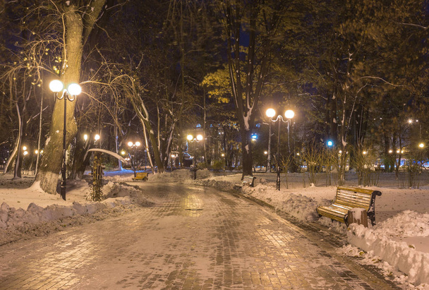 Inverno noite paisagem- banco sob árvores e luzes de rua brilhantes caindo flocos de neve
. - Foto, Imagem