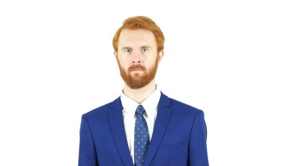Retrato de barba de cabelo vermelho Empresário, fundo branco
 - Foto, Imagem