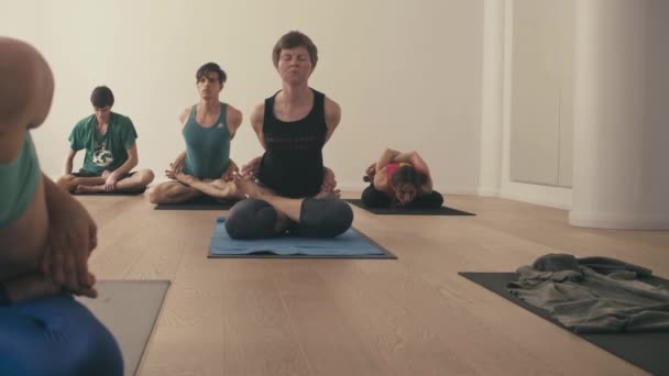 Gruppe von Leuten, die Yoga-Asanas im Studio machen - Filmmaterial, Video