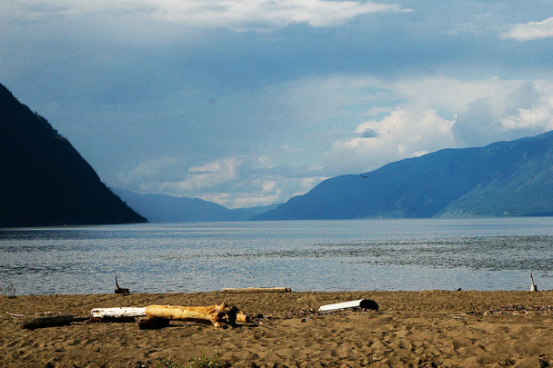 Altai. Lake Teletskoe in summer - Φωτογραφία, εικόνα