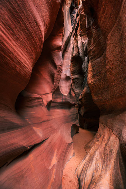 alt antilop Canyone kayalarda kumtaşı  - Fotoğraf, Görsel