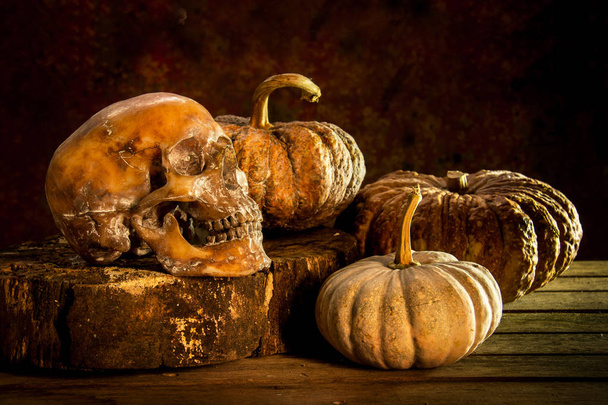 Still Life with Pumpkin and Skull on wooden background - Foto, Imagen