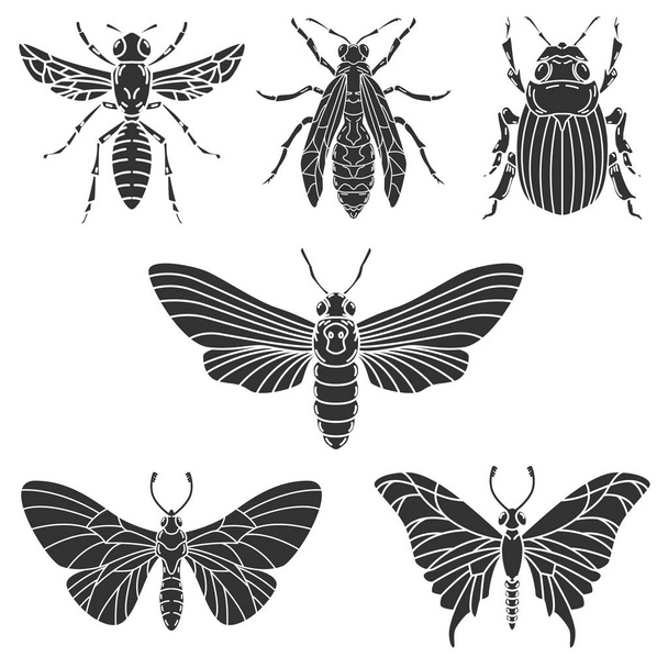 Set of beetle illustrations isolated on white background. - Vector, Image
