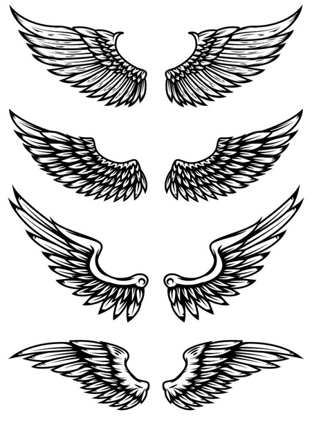 Set of wings illustration isolated on white background. Design elements for logo, label, emblem, sign. - Vector, afbeelding